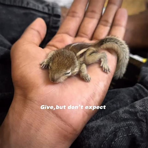 Nilashhhh💗 on Instagram: "😌🍂"