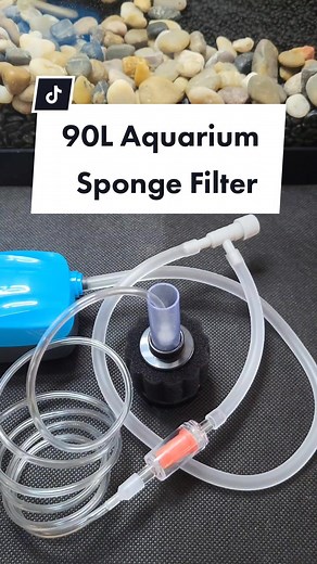 TikTok - Make Your Day