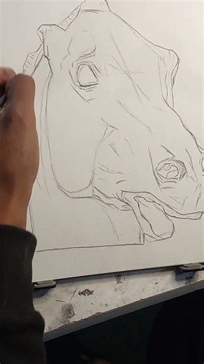 learning ✨️ part 29 bargue #Drawing for #tattoo #shortsvideo #trending #viqrl