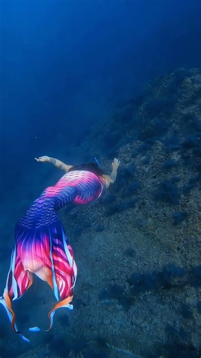 4.6K views · 400 reactions | I took some swimming lessons from an underwater friend today!! She’s much better than me 玲 Look how gorgeous the new Orchid’s Crest tail by @mertailor is in the water!!  She flows so elegantly. I’m lovinggggg these colors!!! 隆‍♀️ @all_thingz_mermaid 瑱 Tail by @mertailor  Recorded by @isalassinaro #mermaid #mermaids #seals #sealions #underwater #mertailor #oceangalzadventures #ocean #mexico | Danielle Cecil | Facebook