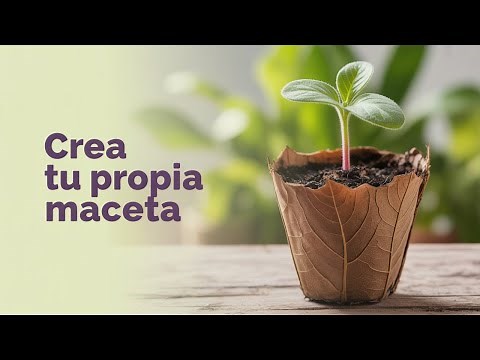 How to make biodegradable pots with dried leaves?