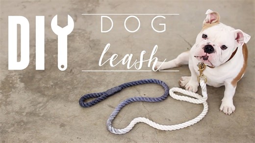 I made a stylish DIY dog leash! 🐶