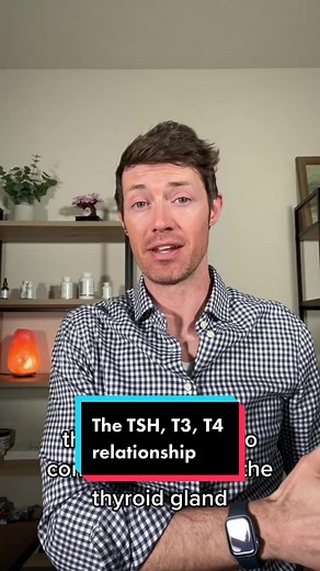 Entendiendo la relación entre TSH, T3 y T4