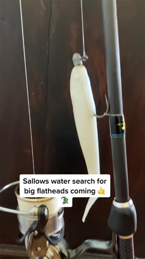 Top Flathead Lures for Fishing Enthusiasts