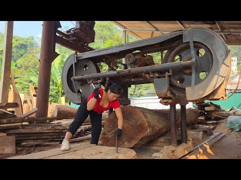 Full video The journey of a girl cutting down trees and transporting the wood back to the workshop f