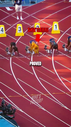Sha'Carri Richardson Challenges Noah Lyles to a Race! 😱🇺🇸