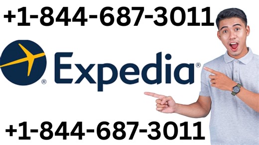 Official Expedia Customer Service Guide | Phone, Chat & Email Support