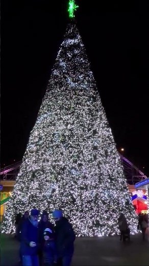 Visit this GORGEOUS Christmas Tree at Lake Compounce in Bristol, CT