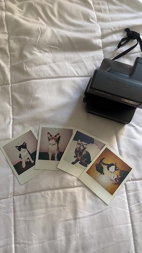 📸📷 . . . . #polaroid #polaroidpicture #polaroidpictures #polroidcamera #polaroid600 #polaroids