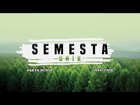 The Process of Hatching Chicken Eggs using an Automatic Incubator