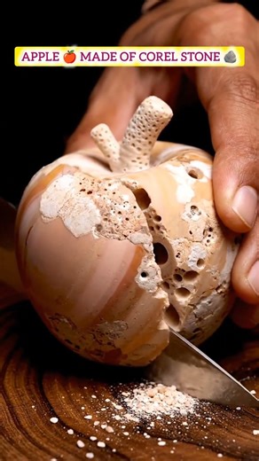 apple 🍎 Made of Corel stone 🪨