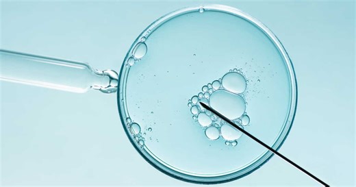 Ovocytes, spermatozoïdes : le don de gamètes expliqué par une médecin