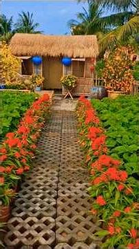 Small Garden ideas, Garden ideas, Small Garden Design, Garden Design ideas, DIY, Garden