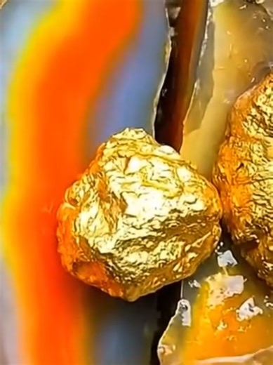 Fossilized Gastropod Transforms into One Million Dollar Gold