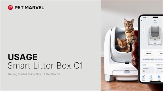 Watch How to connet APP? on Amazon Live