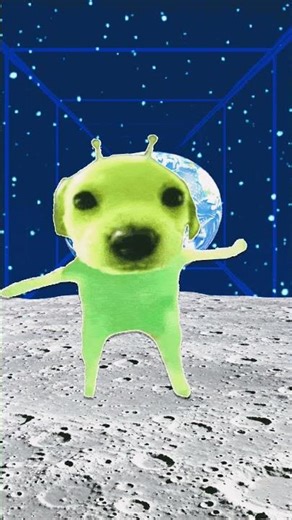 .......