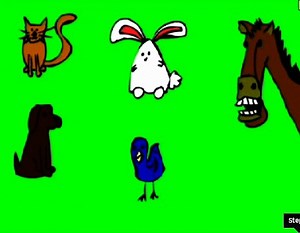 Watch How to Select the Best Pet for You on Amazon Live