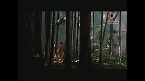 「SOSG五周年祭」琉璃版PV RYTHEM