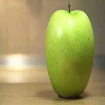 annoying orange without face