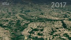 "No solo es la deforestación": ¿por qué la Amazonía peruana se acerca a un 'punto de no retorno'?