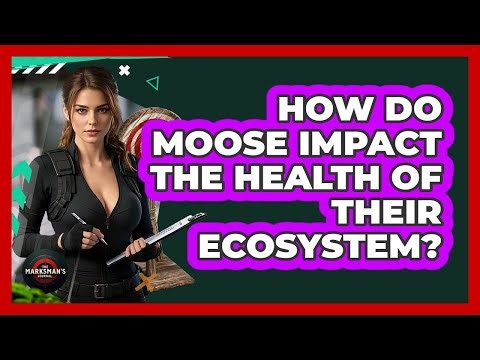 How Do Moose Impact The Health Of Their Ecosystem? - The Marksman's Journal