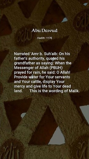 Abu Dawud, Hadith: 1176, Prayer (Kitab Al-Salat): Voluntary Prayers