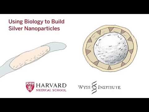 Using Biology to Build Silver Nanoparticles