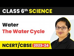 The Water Cycle - Water | Class 6 Science