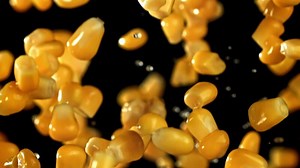 Canned corn flies up and falls down. Filmed on a high-speed camera at 1000 fps. High quality FullHD footage