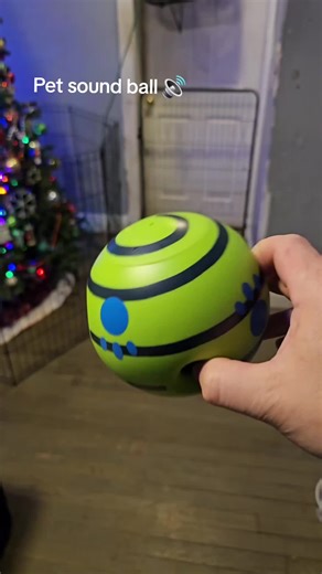 #pets #dog #dogtoys #dogball