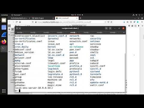 Lab09: SEED 2.0 Local DNS Attack Lab