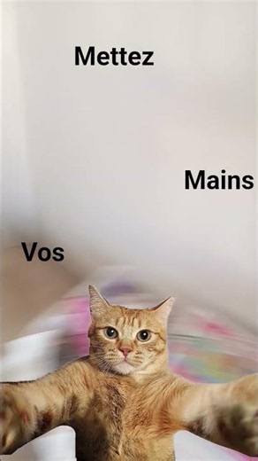 14 juin 2026
