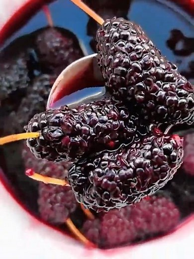 Mulberry Tea: The Simple, Sweet-Tart Taste of Spring You Can Sip All Year 🍇🌿 #food #cuisine