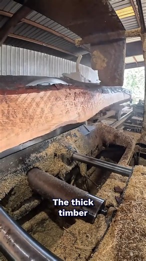 262K views · 43 reactions | Giant Sawmill Cutting Logs | Factable | Facebook
