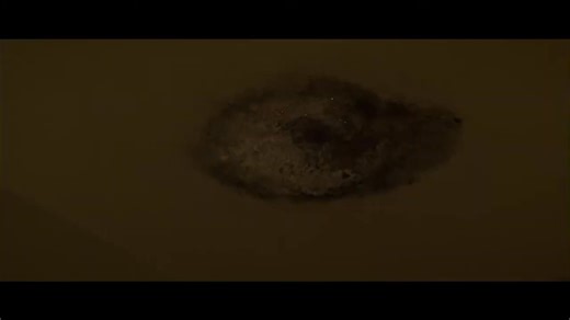 Dark Water | Jennifer Connelly | John C. Reilly. | Gentleman Style of Life