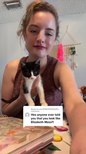 Celebrity Lookalike: Elisabeth Moss Stand-In Confusion Explained