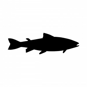 Salmon Icon | Minimalist Black Fish Silhouette (digital Download) - Etsy Australia