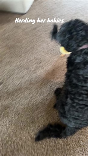 Doodles of the World: Creative Art Unleashed