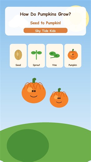 How Do Pumpkins Grow? 🎃 (Seed to Pumpkin!)
