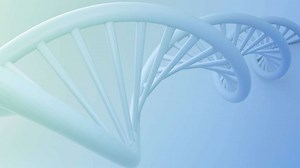 Francis Crick und James Watson veröffentlichen ihre Studie zur DNA-Doppelhelix