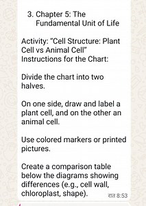 0Chapter 5: TheFundamental Unit of LifeActivity: "Cell Struc... | Filo