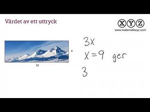 X 2.1 Algebraiska uttryck