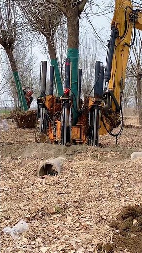 Master Tree Root Protection - Easy Digging Technique