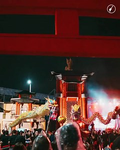 Chinese Dragon Dance Costume Chinese Dragon Dance