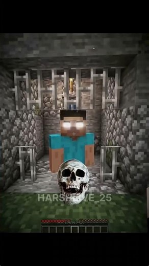 IMPOSSIBLE 🥶💀🤯☠️🗿#minecraft#1mviewers #shortsfeed#trending@TechnoGamerzOfficial