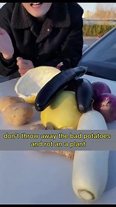 7.4K views · 160 reactions | Vegetables in the car, have these effects!#car #automotive #driving #outside #skills #knowledge #fpy #fyp #drivingtips #cars #tutorial #howto #cartips #car #LearnOnReels #automotive #driving #foryou #foryourpage #reelsfb #reelsvideo #fypシ​#usa #america #american #uk | Car Tip II | Facebook