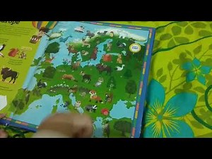 animal atlas sound book