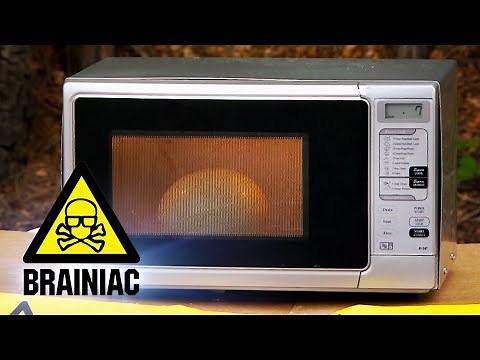 Ostrich Egg + Microwave=? | Brainiac