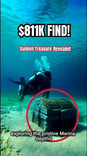 Insane $811K Fossilized Treasure Chest Found Underwater!
