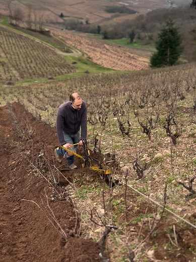 Steep Vineyard Soil Work Techniques